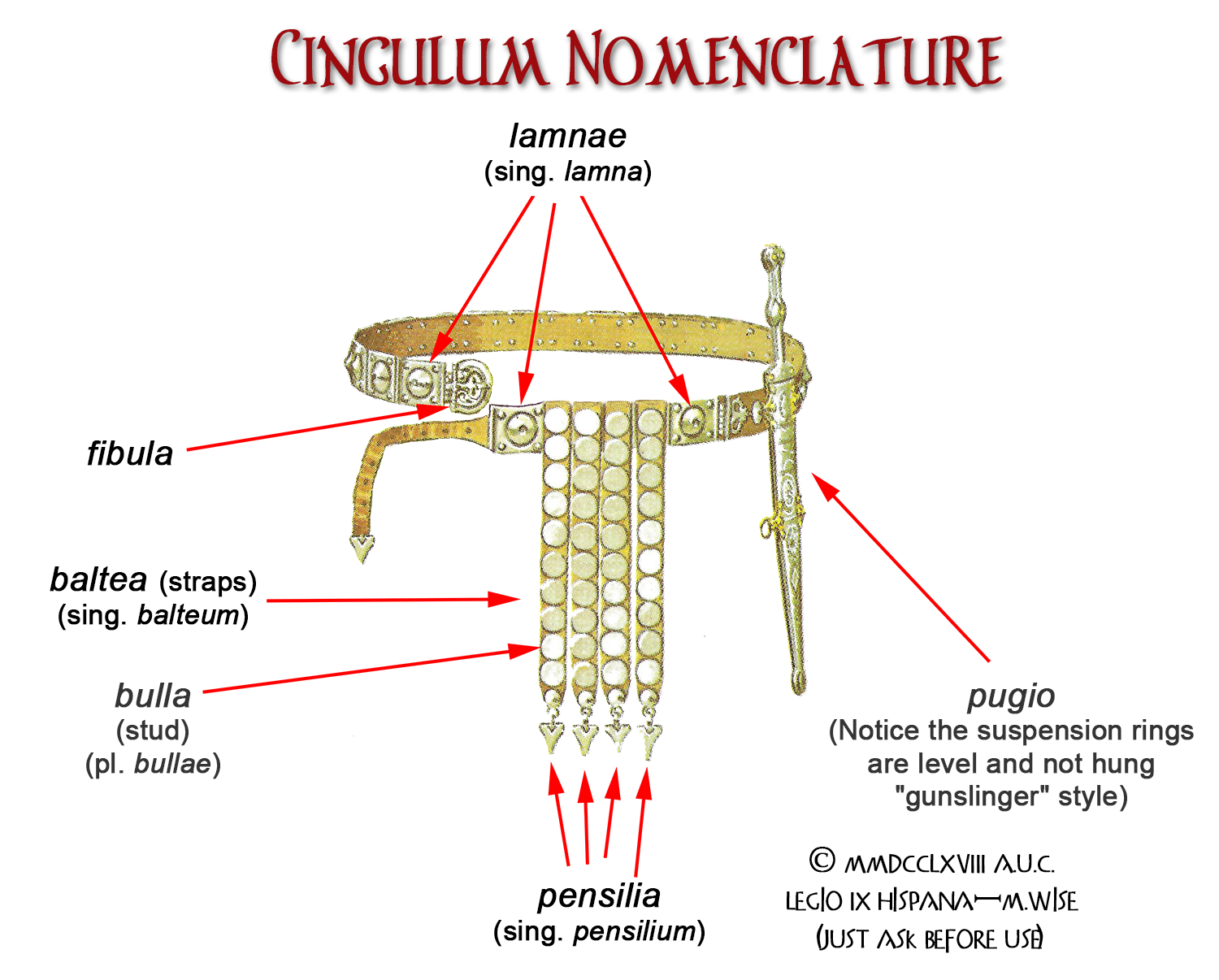 Roman Soldier's Belt Nomenclature